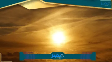 إليك كيفية الاستعلام عن نتيجة الشهادة الإعدادية في الجيزة 2025 الترم الثاني بعد اعتمادها رسميًا